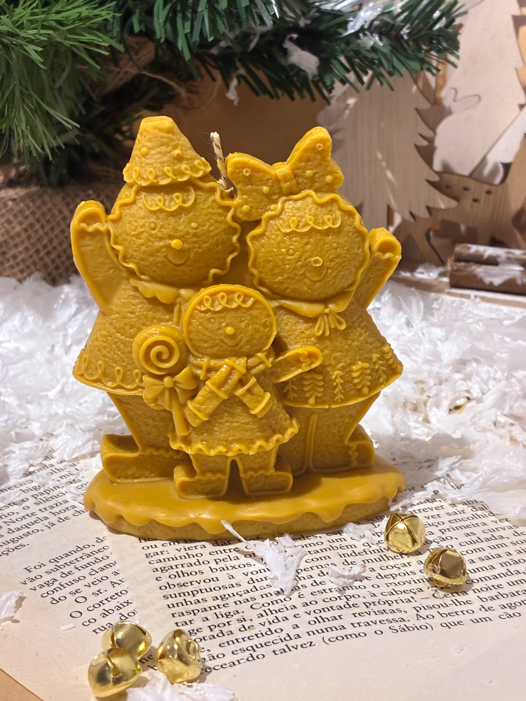 VELA FAMILIA GENGIBRE